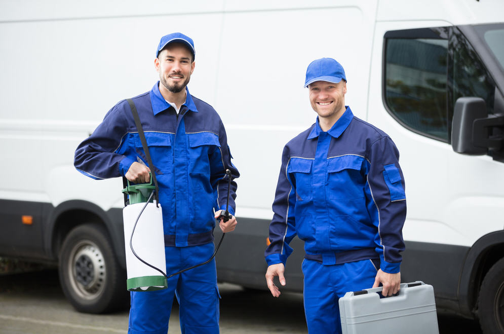 24 7 Pest Control Exterminator Belmont Nc